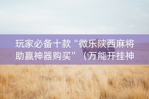 玩家必备十款“微乐陕西麻将助赢神器购买”（万能开挂神器)