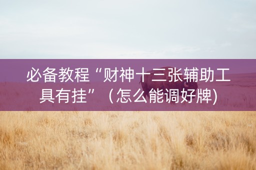 必备教程“财神十三张辅助工具有挂”（怎么能调好牌)
