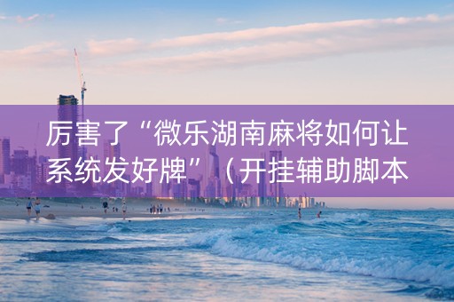 厉害了“微乐湖南麻将如何让系统发好牌”（开挂辅助脚本)