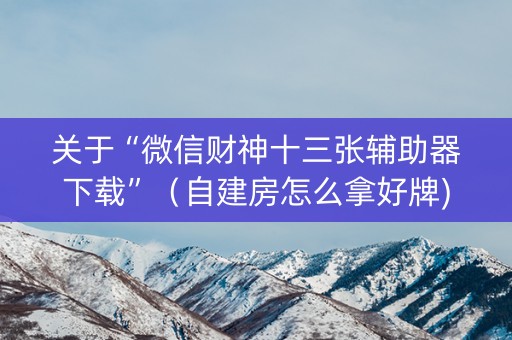 关于“微信财神十三张辅助器下载”（自建房怎么拿好牌)