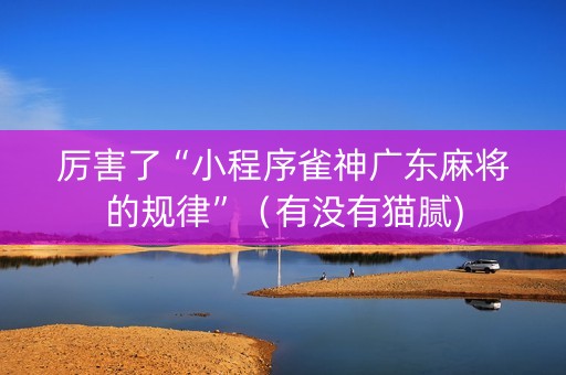 厉害了“小程序雀神广东麻将的规律”（有没有猫腻)