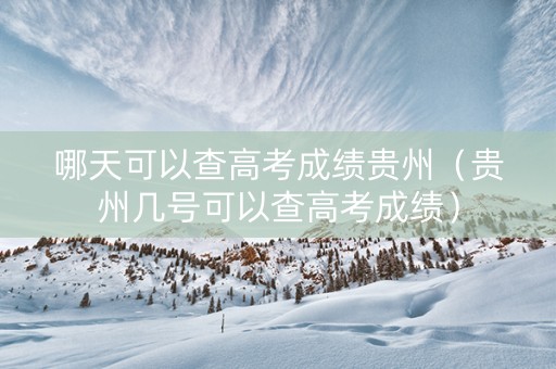 哪天可以查高考成绩贵州（贵州几号可以查高考成绩）