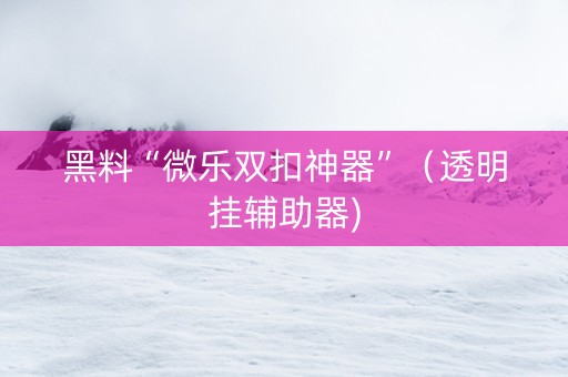黑料“微乐双扣神器”（透明挂辅助器)