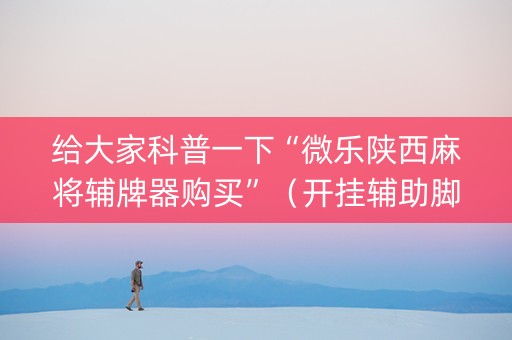 给大家科普一下“微乐陕西麻将辅牌器购买”（开挂辅助脚本)