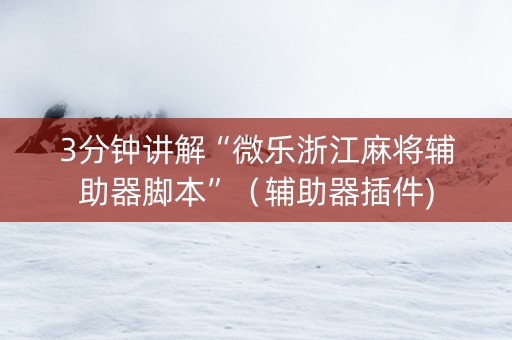 3分钟讲解“微乐浙江麻将辅助器脚本”（辅助器插件)
