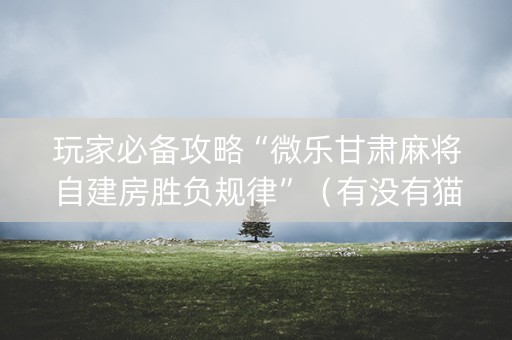 玩家必备攻略“微乐甘肃麻将自建房胜负规律”（有没有猫腻)