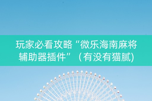 玩家必看攻略“微乐海南麻将辅助器插件”（有没有猫腻)