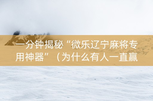 一分钟揭秘“微乐辽宁麻将专用神器”（为什么有人一直赢)