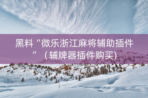 黑料“微乐浙江麻将辅助插件”（辅牌器插件购买)