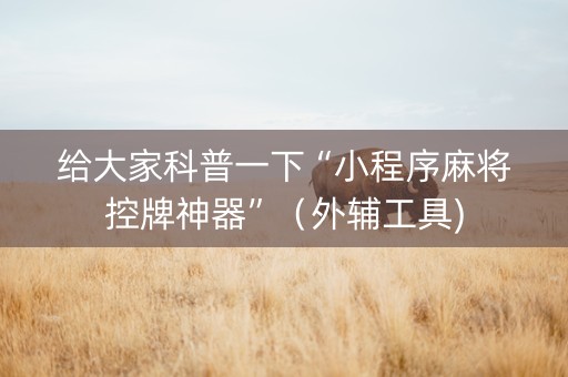 给大家科普一下“小程序麻将控牌神器”（外辅工具)