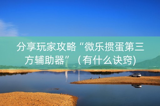 分享玩家攻略“微乐掼蛋第三方辅助器”（有什么诀窍)