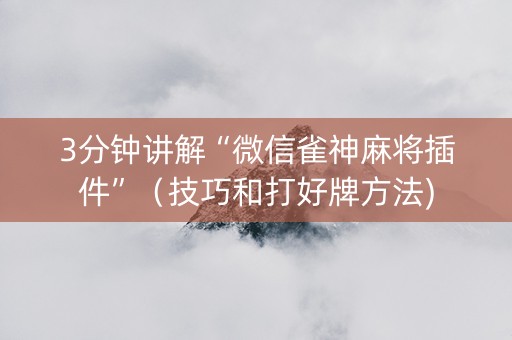 3分钟讲解“微信雀神麻将插件”（技巧和打好牌方法)