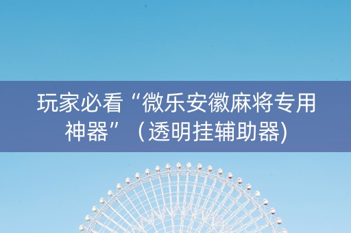 玩家必看“微乐安徽麻将专用神器”（透明挂辅助器)