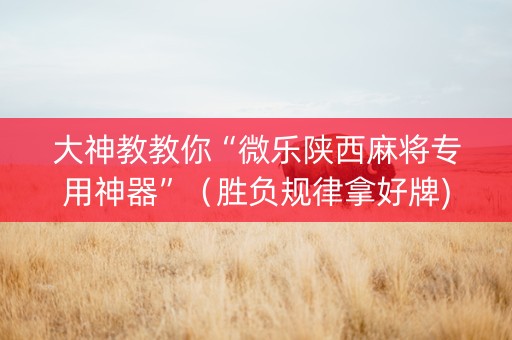 大神教教你“微乐陕西麻将专用神器”（胜负规律拿好牌)