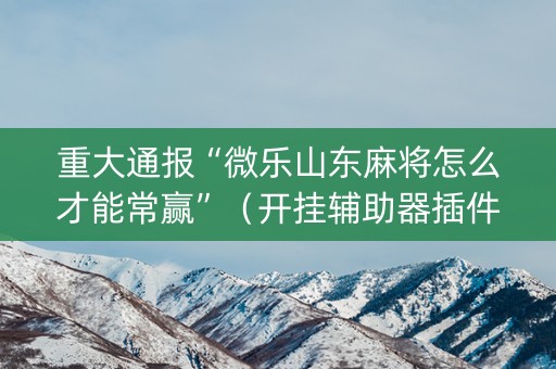重大通报“微乐山东麻将怎么才能常赢”（开挂辅助器插件)