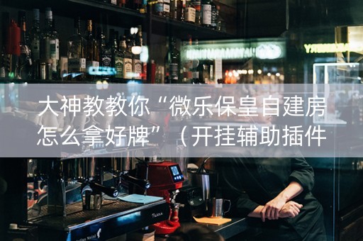 大神教教你“微乐保皇自建房怎么拿好牌”（开挂辅助插件)