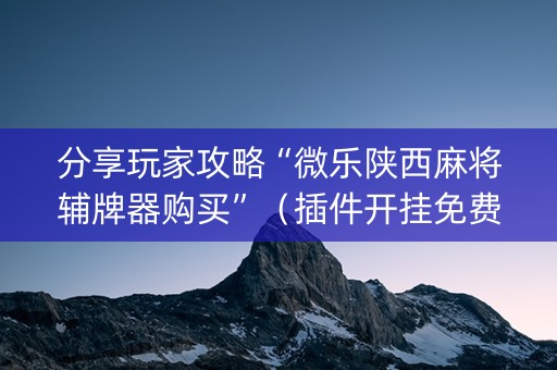 分享玩家攻略“微乐陕西麻将辅牌器购买”（插件开挂免费AI)