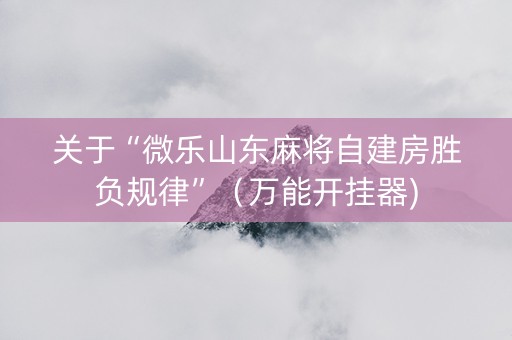 关于“微乐山东麻将自建房胜负规律”（万能开挂器)