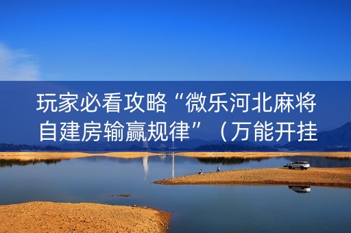 玩家必看攻略“微乐河北麻将自建房输赢规律”（万能开挂器)