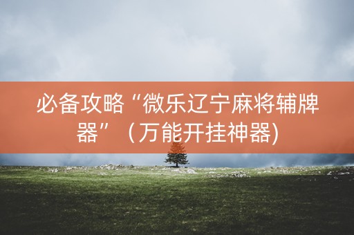 必备攻略“微乐辽宁麻将辅牌器”（万能开挂神器)