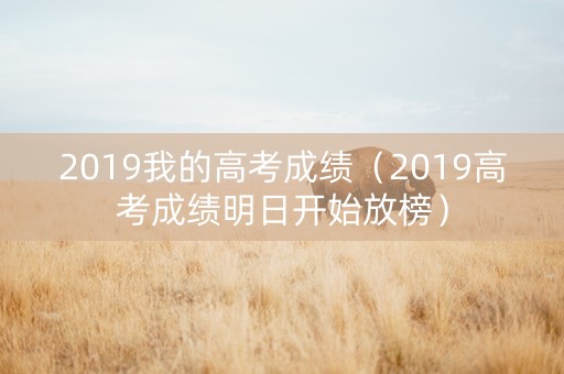 2019我的高考成绩（2019高考成绩明日开始放榜）