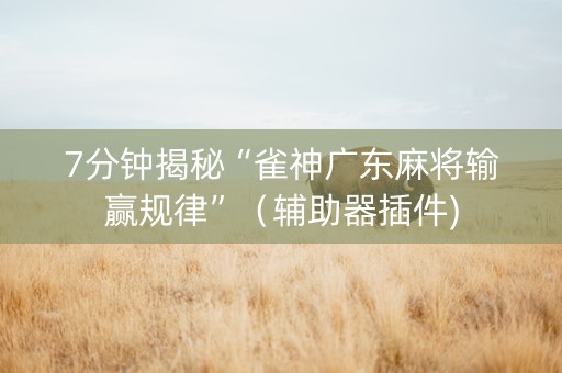 7分钟揭秘“雀神广东麻将输赢规律”（辅助器插件)