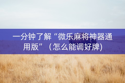 一分钟了解“微乐麻将神器通用版”（怎么能调好牌)
