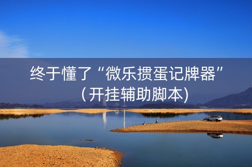终于懂了“微乐掼蛋记牌器”（开挂辅助脚本)