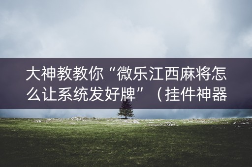大神教教你“微乐江西麻将怎么让系统发好牌”（挂件神器)