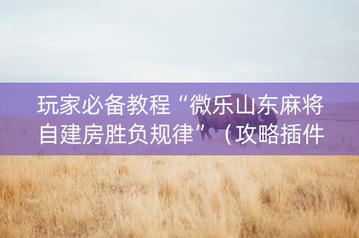 玩家必备教程“微乐山东麻将自建房胜负规律”（攻略插件)