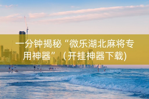 一分钟揭秘“微乐湖北麻将专用神器”（开挂神器下载)
