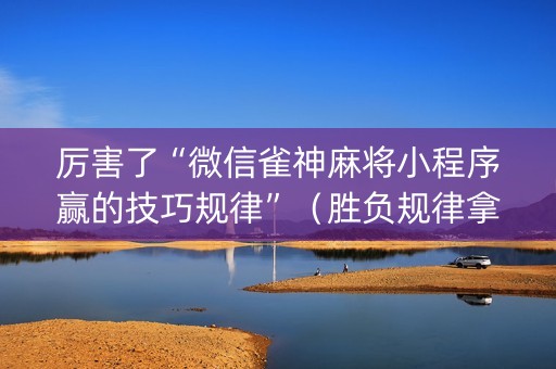 厉害了“微信雀神麻将小程序赢的技巧规律”（胜负规律拿好牌)