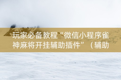 玩家必备教程“微信小程序雀神麻将开挂辅助插件”（辅助器插件)
