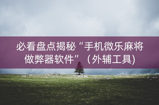 必看盘点揭秘“手机微乐麻将做弊器软件”（外辅工具)