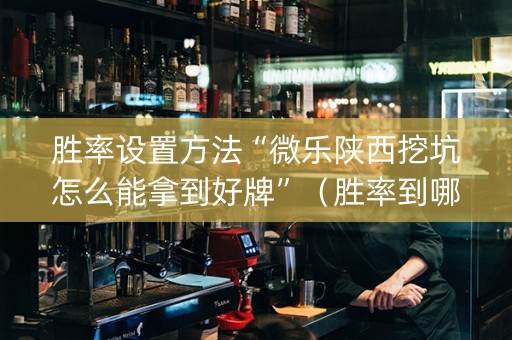 胜率设置方法“微乐陕西挖坑怎么能拿到好牌”（胜率到哪调)