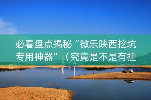 必看盘点揭秘“微乐陕西挖坑专用神器”（究竟是不是有挂)