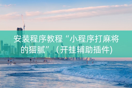 安装程序教程“小程序打麻将的猫腻”（开挂辅助插件)