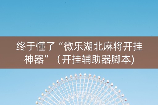 终于懂了“微乐湖北麻将开挂神器”（开挂辅助器脚本)