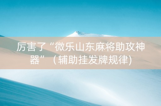 厉害了“微乐山东麻将助攻神器”（辅助挂发牌规律)