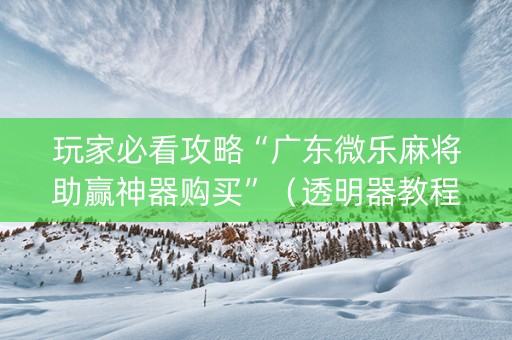 玩家必看攻略“广东微乐麻将助赢神器购买”（透明器教程)
