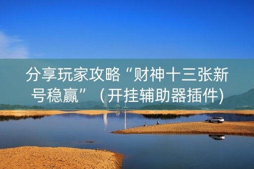 分享玩家攻略“财神十三张新号稳赢”（开挂辅助器插件)
