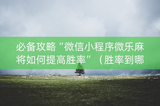 必备攻略“微信小程序微乐麻将如何提高胜率”（胜率到哪调)
