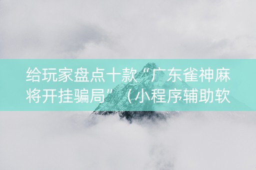 给玩家盘点十款“广东雀神麻将开挂骗局”（小程序辅助软件)
