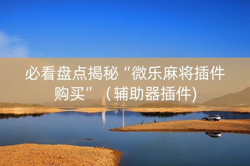 必看盘点揭秘“微乐麻将插件购买”（辅助器插件)
