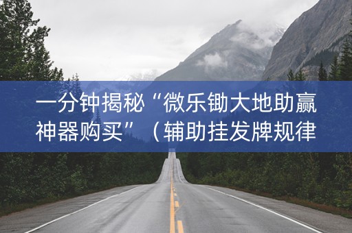 一分钟揭秘“微乐锄大地助赢神器购买”（辅助挂发牌规律)