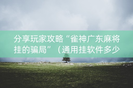 分享玩家攻略“雀神广东麻将挂的骗局”（通用挂软件多少钱)