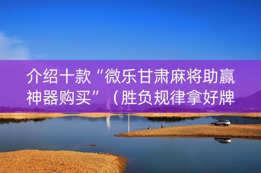 介绍十款“微乐甘肃麻将助赢神器购买”（胜负规律拿好牌)