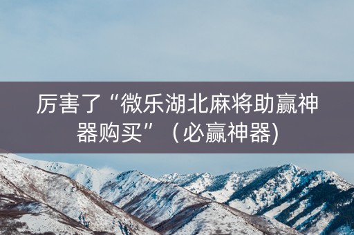 厉害了“微乐湖北麻将助赢神器购买”（必赢神器)