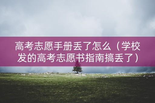 高考志愿手册丢了怎么（学校发的高考志愿书指南搞丢了）