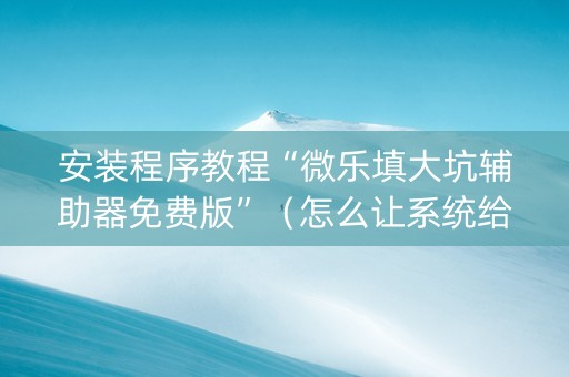 安装程序教程“微乐填大坑辅助器免费版”（怎么让系统给你发好牌)